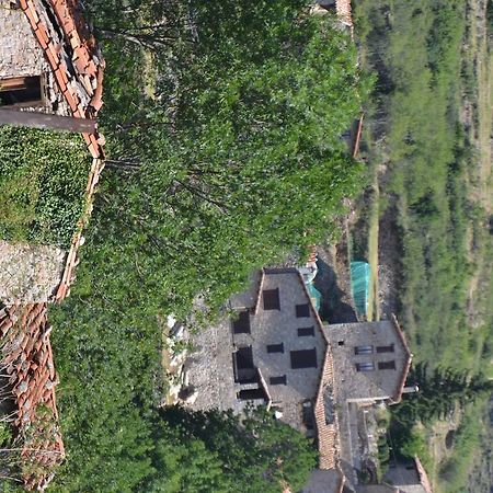 Hostal La Muntanya Castellar De N'Hug Dış mekan fotoğraf